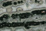 Polished Orbicular Ocean Jasper Slab - Madagascar #379348-1